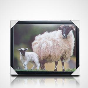 Customized 3D PET Lenticular Poster Printing 3D Painting with Black PS Frame for