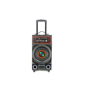 MP3 Player 8 Inch DJ Trolley Speaker , Subwoofer Trolley Speaker RMS 40W