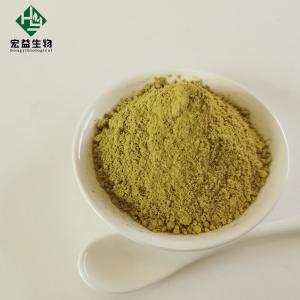 Quality Food Grade Ursolic Acid Extract Natural Herbal Extract Light Yellow Powder for sale