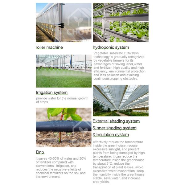 Wind Resistance Multi Span Plastic Film Tunnel Greenhouse With Ventilation System