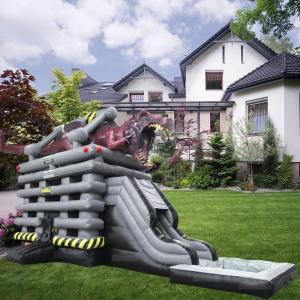 Customized Size Inflatable Water Climbing Games with Slide