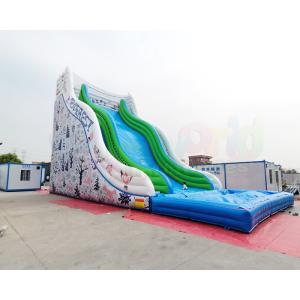 Adult Bouncer Castle Outdoor Inflatable Water Slides With Pool