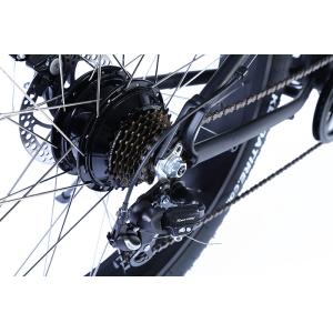 48V 750W Mountain E Bike with Tektro Hydraulic Brake system