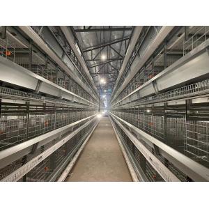 Durable H Type Poultry Breeding Cages Good Ventilation And Lighting