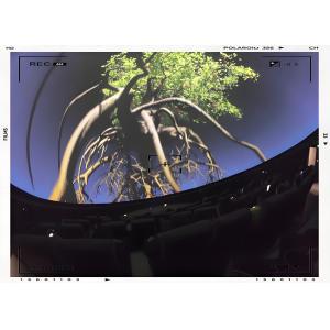 VR Dome Cinema with 3-5.2 Meters Ball Screen 4K to 8K Resolution and 6800 ANSI