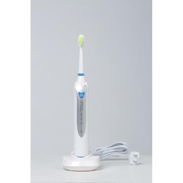 Buy rechargable auto-timer toothbrush BLYL Brand Sonic Electric toothbrush TB-1035 at wholesale prices