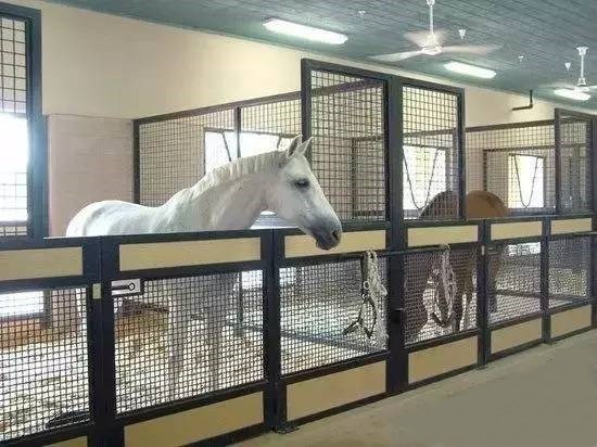 0.10 M/Sec Wood Shaving Mill