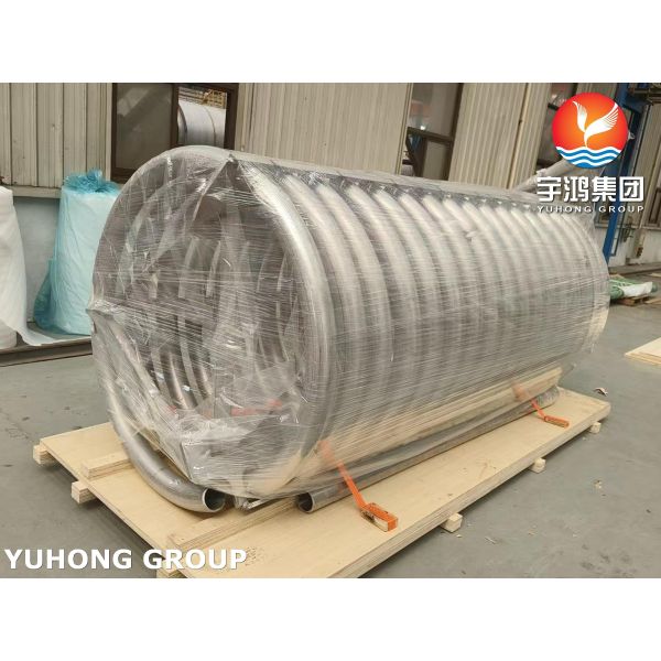 Buy Stainless Steel Seamles Pipe ASME SA312 TP310 , Tube Coil  for Fired Heater Convection and Radiant Section at wholesale prices