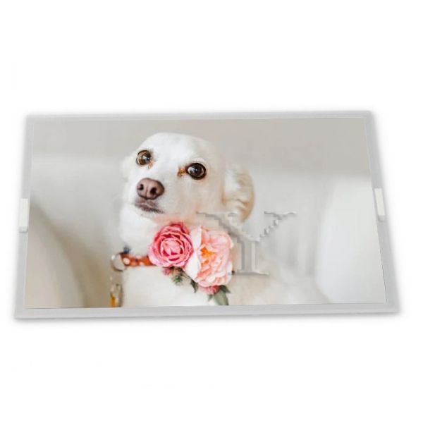 Buy New 15.6-Inch WLED Customizable LCD Display Module 1920*1080 Resolution Model LQ156M1LG21 Compatible Various LCD Devices at wholesale prices