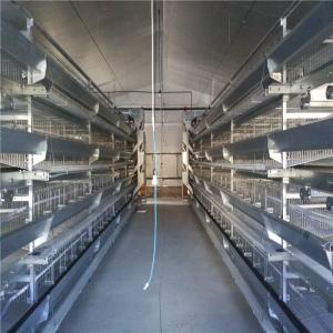 Sleek and Modern Design Automatic Broiler Feeding System with Electrostatic
