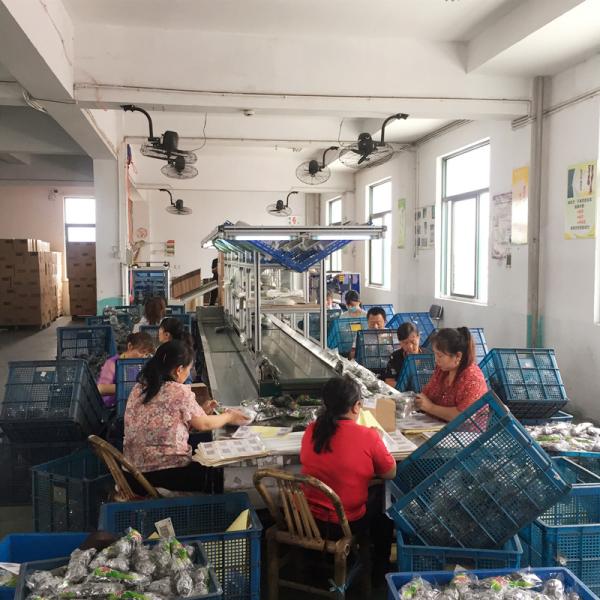 H65 Brass Scourer Pads Copper Scrubber for Kitchen Cleaning