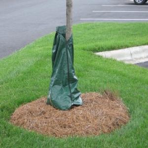 Slow Release Drip Irrigation Water Pouch for 20 Gallon Trees No More Overwaterin