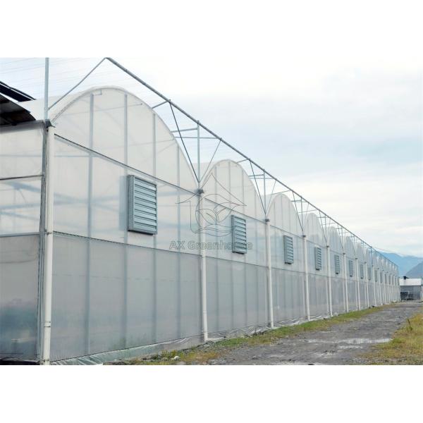 Greenhouse Cover Transparent Plastic PE Film