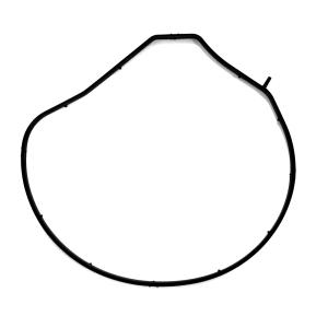 60 Sh 70 Sh Hydrogenated Nitrile O Ring Water And Oil Resistance Hnbr O Ring