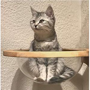 Mounted Wooden Cat Space Clear Capsule Sphere Cat Bed