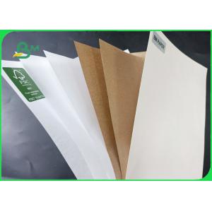 One Side Coated Food Grade 160gsm Plastic Coated Paper For Food Packing