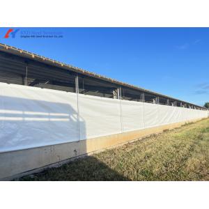Easy Build Piggery Shed Construction Steel Structure Cow House Construction