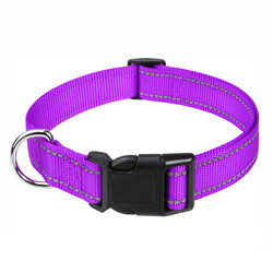 Woven Logo Puppy Flashing Collar