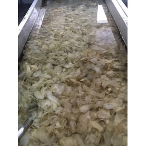 Vinegar Process Japanese White Pink Pickled Sushi Ginger for Open Air Cultivatio