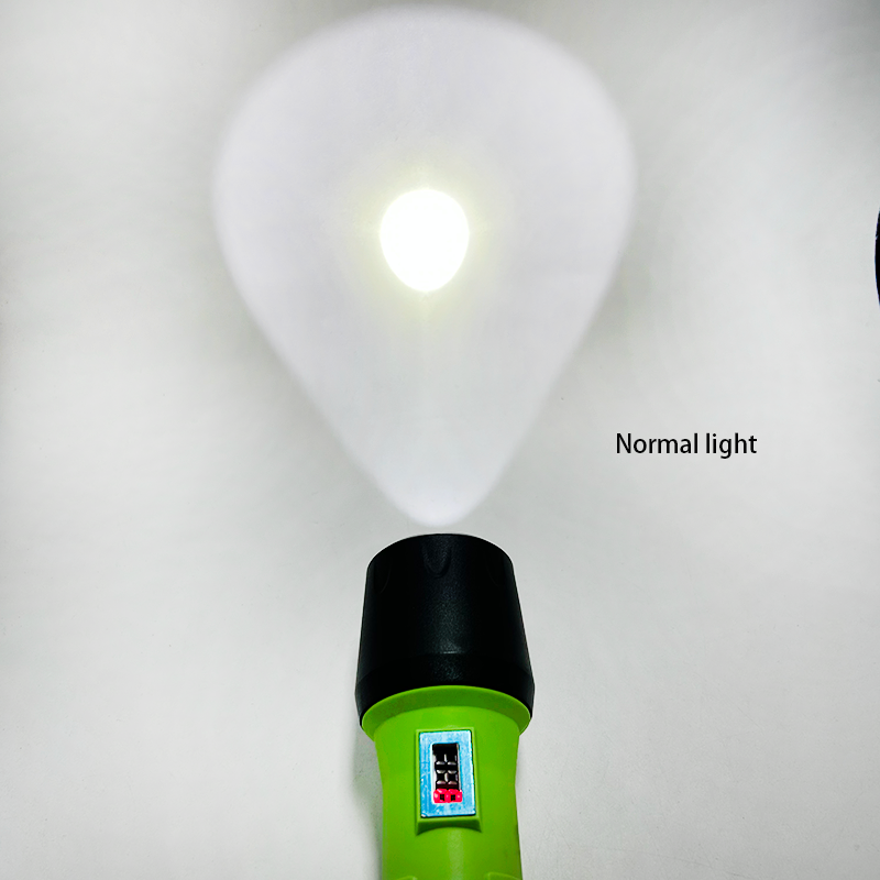 Long-Lasting LED Flashlight 100000H Superior Water-proof Performance User-friendly Torch IP68