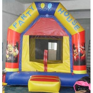 China Commercial Use Party Theme Kids Inflatable Bouncy Castle Inflatable Castle on sale