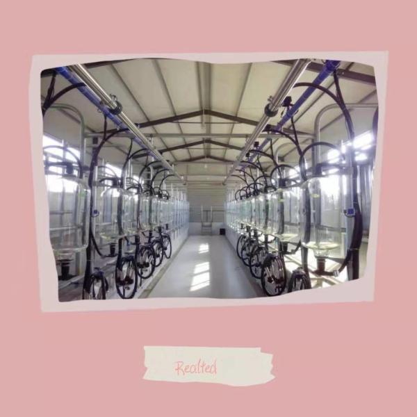 60 Litre Widely Application Stainless Steel Milk Can Olive Oil Drum Pails Barrels