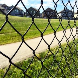 8ft Hot Dipped Galvanized And PVC Coated Cyclone Mesh Chain Link Fence