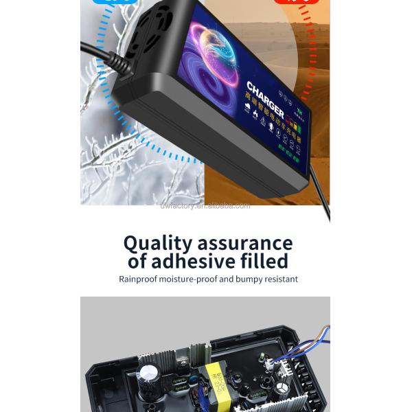 2025 Smart Electric Motorcycle 48V20AH Lead Acid Battery Charger with 93% Charging Efficiency and 12V/1.5A Output