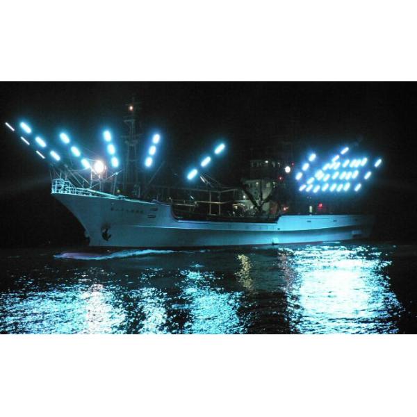 HY1308 Blue450nm 7Watt COB LED Chips 9V For Fishing Lights Fish Attracting Lights