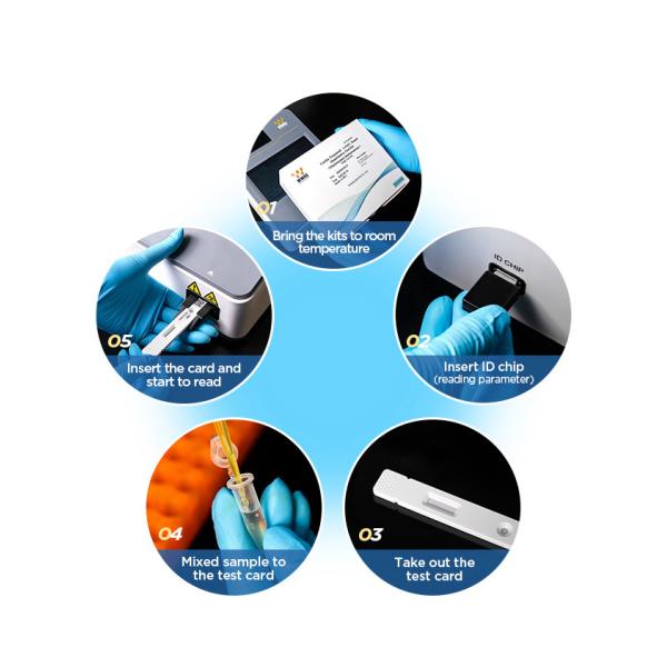 High Accuracy Ferritin Test Kit , IVD Assay One Step PCR Kit For Medical