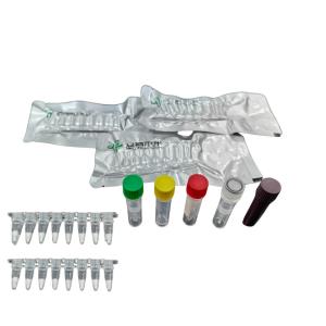 Quality Brucella Isothermal Pathogen Detection Kit For Rapid Diagnosis With 5-20mins for sale