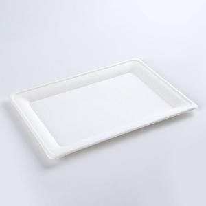 Biodegradable Food Container Rectangular Bagasse Plates