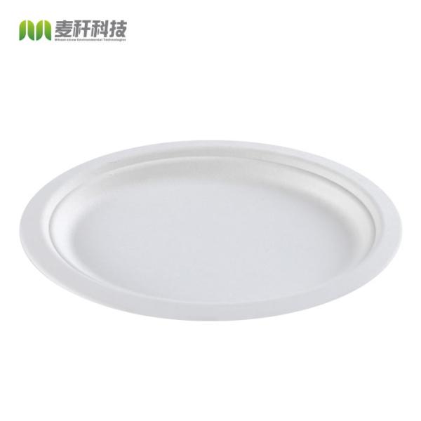 Biodegradable Sugarcane Pulp Party Dinnerware Plate Sugarcane Bagasse Paper Plate Round Disposable Plate dishes
