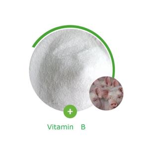 EINECS 202-713-4 Vitamin Additives ISO Pure Niacinamide Powder
