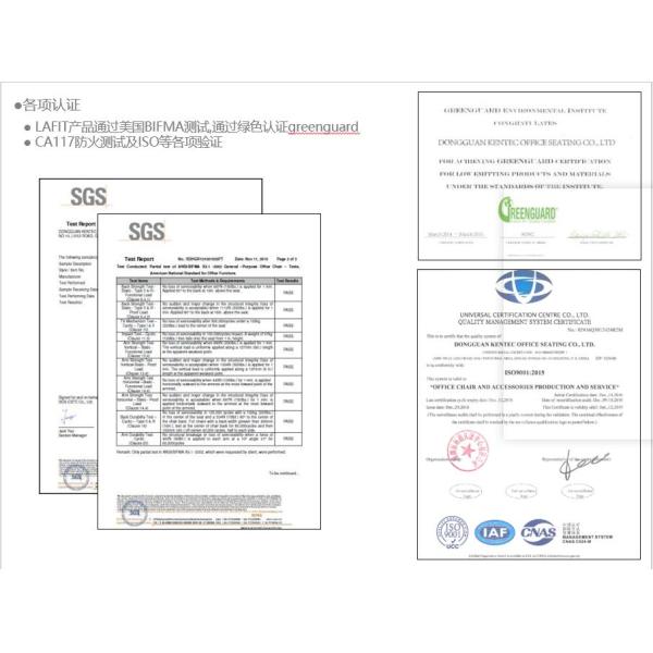 Executive Ergonomic Office Chair with Traditional Design Style and BIFMA Certificate