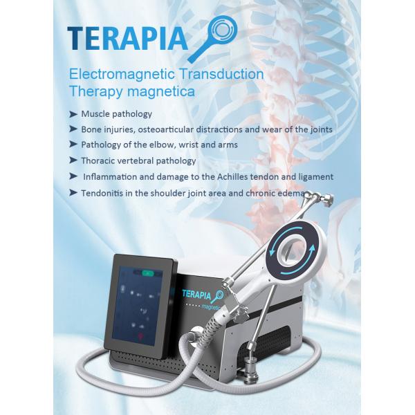 Buy Muscle Pathology Terapia Magnetic Electromagnetic Therapy Machine 6T at wholesale prices