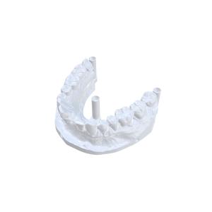 Professional Grade Dental Model Printing Resin For Dental Applications