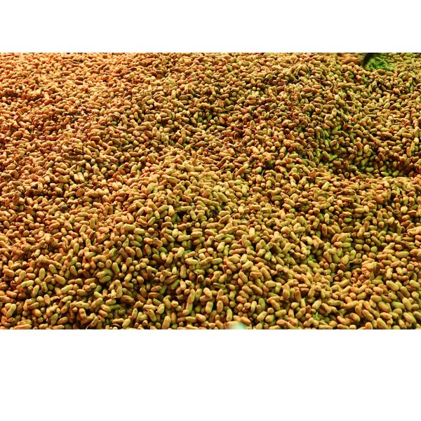 Manufacturing Technique 5