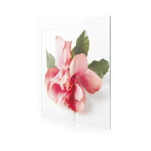 Quality Ultralight design glass display EXCEL LED for sale