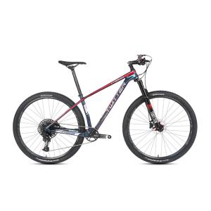 Carbon Mountain Bike 29er Holographic Color With Sram SX 12S Groupset For Adult