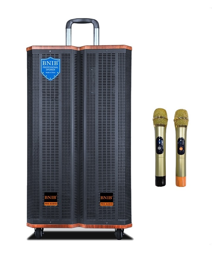 Wooden 80W Portable Trolley Speaker Customized 12V / 7Ah Battery With 2 Mic