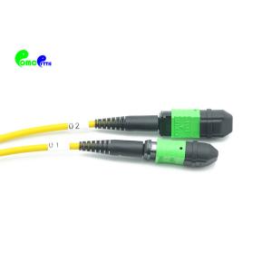 2 Meter Standard Loss Senko 24F MPO (F) to 2 X 12F MPO(F) Trunk Cable SM 9/125um