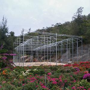 High Roof Plastic Uv Greenhouse With Natural Ventilation For Rainy Climates