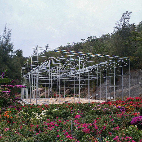 High Roof Plastic Uv Greenhouse With Natural Ventilation For Rainy Climates