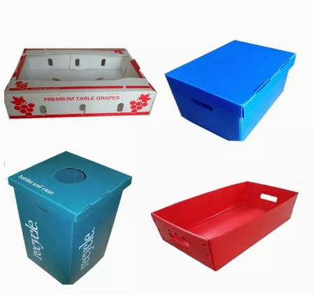 Buy 2400x1200 2440x1220 Fruit Vegetable Box Plastic Corrugated at wholesale prices