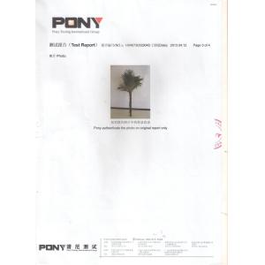 Environmental Protection Certification Large Faux Palm Plant HAIHONG