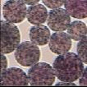 Quality 1 mL Agarose NHS Magbeads Preactivated N - Hydroxy Succinimide Nanoparticle for sale