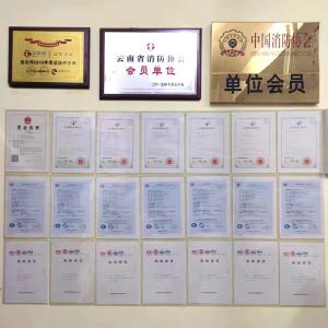 Auto Tracking Targeting Fire Water Cannon 0.8Mpa Remote Control