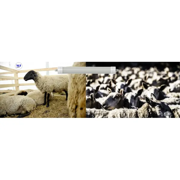 LED Tri-Proof Light Anti-Ammonia White Color Ik10 IP69K 0~10V Dim CCT Power Adjustable 170lm/W 1.6m for Diary Cow Sheep Farmyard Livestock