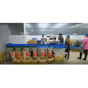 Touch Screen Multi Grade Circular Weight Sorting Machine For Yolk Fish Fruits